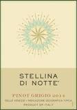 Stellina di Notte PInot Grigio wine