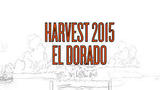 Carton Harvest 2015 El Dorado beer