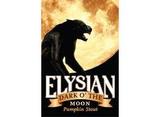 Elysian Dark 'O the Moon Pumpkin Stout 2014 beer