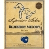 Superior Lakes Blueberry Melody beer