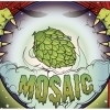 Wiens Fortune Teller: Mosiac beer
