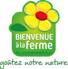 Julien Thurel Cydromel (2013) beer Label Full Size