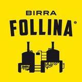 Birra Follina Giana beer