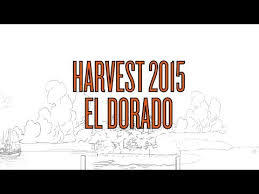 Carton Harvest 2015 Rye Pale Ale beer Label Full Size