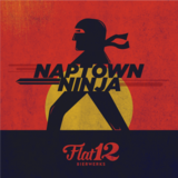 Flat 12 Naptown Ninja beer