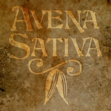 Half Acre Avena Sativa beer