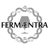 Fermaentra Meristem beer