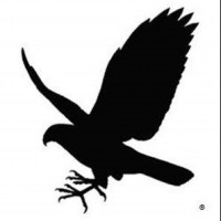 HBC Black Cherry Wheat beer Label Full Size