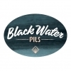 Stony Creek Dark Water Pilsner beer