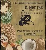 B. Nektar PIneapple Coconut Express beer