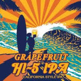 Terrapin Grapefruit HI-5 IPA beer