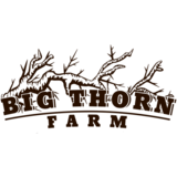 Big Thorn Scruit beer