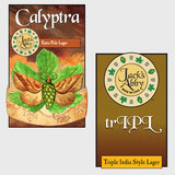 Jack’s Abby 3x Dry Hopped Calyptra beer