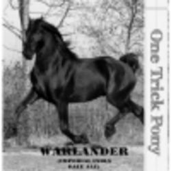 One Trick Pony Wet-Hopped Warlander beer Label Full Size