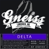 Gneiss Delta beer
