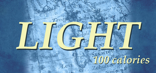 Lost Tribes Light beer Label Full Size