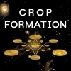 Cosmos Crop Formation beer Label Full Size