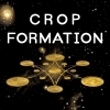 Cosmos Crop Formation beer
