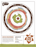 Sixpoint Spice of Life Crystal beer