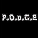 Alvinne Podge 2011 beer