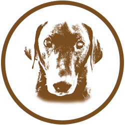 Diversion Sierra's Missed Porter beer Label Full Size