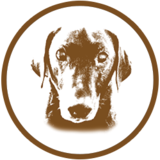 Diversion Sierra's Missed Porter beer