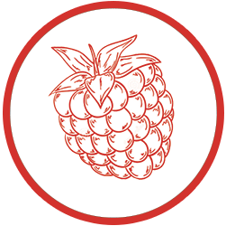 Diversion Pilsberry beer Label Full Size