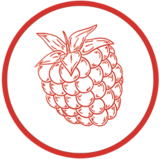 Diversion Pilsberry beer