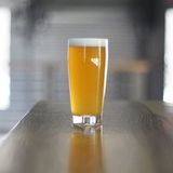 District 96 Hoppy-ng Fences beer