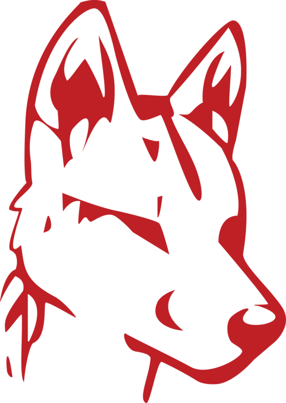 Dingo Dog Spud McKenzie Sweet Potato Stout beer Label Full Size