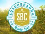 Susquehanna Shady Spot w/Blueberries beer