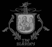 Blarney Blueberry Ale beer Label Full Size