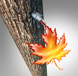 Burnt Marshmallow Sap Happy beer