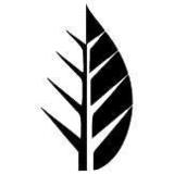 Deciduous Stack 4.0 beer