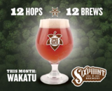 Sixpoint Spice of Life Wakatu beer