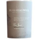 Murrieta's Well The Spur 2013 wine