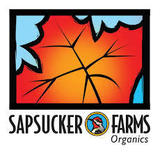 Sapsuckers Ginger Yellow Belly beer