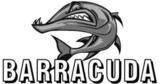 Barracuda American Pale beer