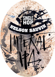 Flying Dog Nelson Sauvin beer