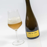 Selection Pilsner beer