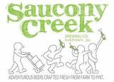 Saucony Creek The Unicorn beer