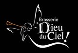 Dieu du Ciel! Petit Detour beer