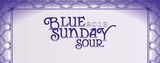 New Holland Barrel Aged Blue Sunday beer