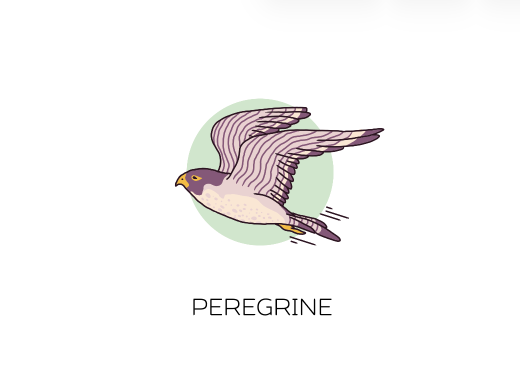 Hudson Valley Peregrine beer Label Full Size