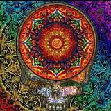 DelAssHole Hazy NEIPA beer