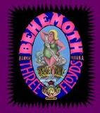 3 Floyds Behemoth 2012 beer