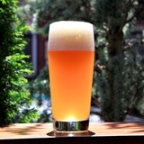 Folksbier Recurring Dreams #20 beer