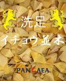 Pangaea Ginkgo In Senzoku beer