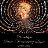 Brooklyn Silver Anniversary Lager beer