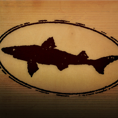 Dogfish Head Province Ale Co Wild Sage beer Label Full Size